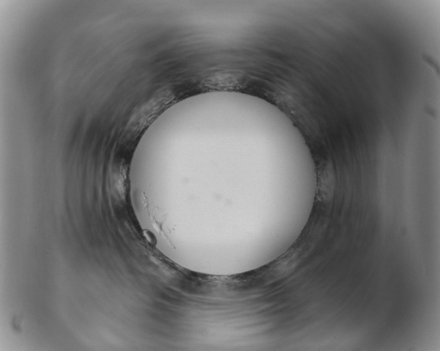 X0000103260334200809121928