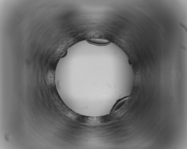 X0000103260335200809121928