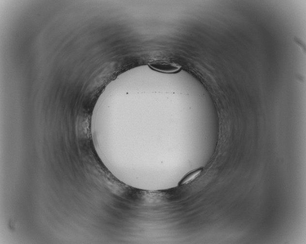 X0000103260336200809121928