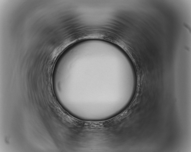 X0000103260337200809121928