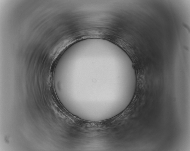 X0000103260338200809121928