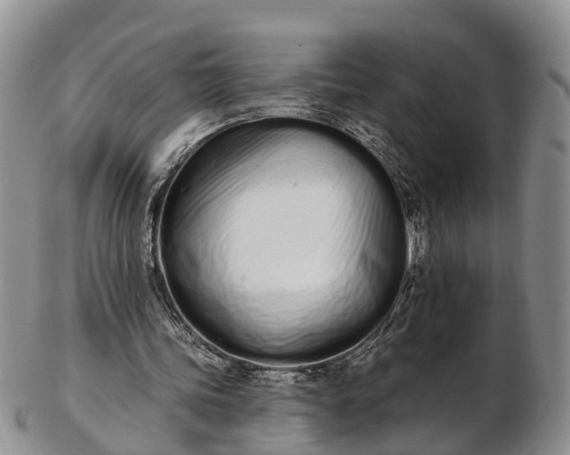 X0000103260339200809121928