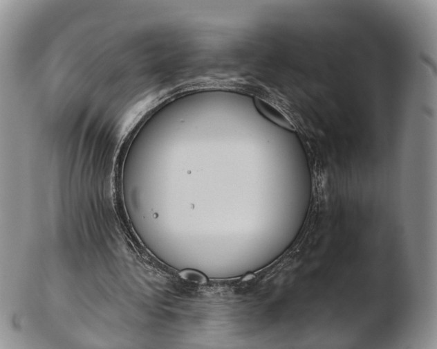 X0000103260340200809121928