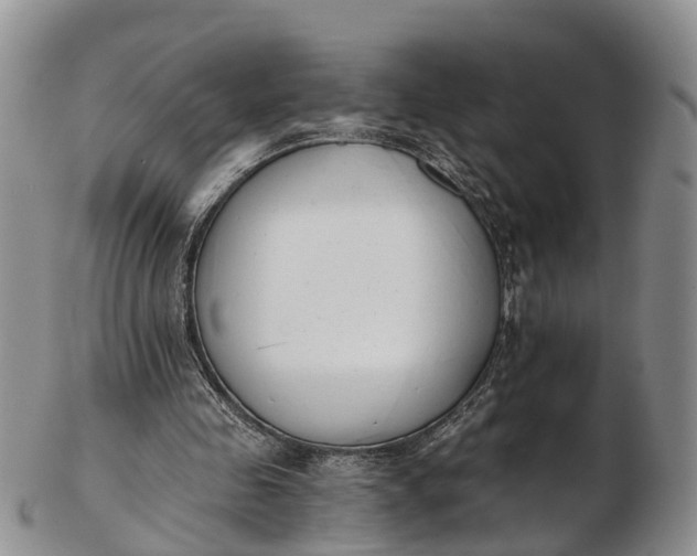 X0000103260341200809121928