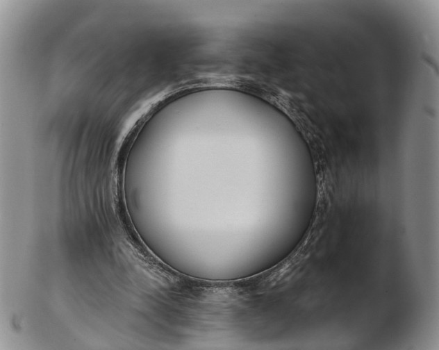 X0000103260342200809121928