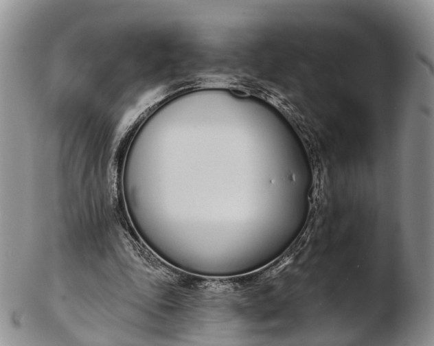 X0000103260343200809121928