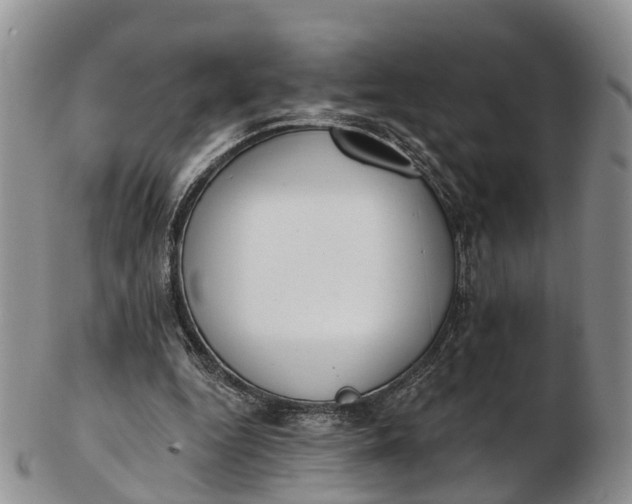 X0000103260344200809121928