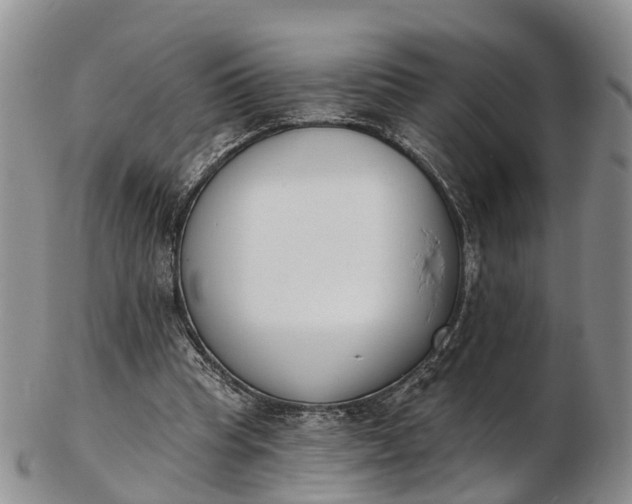 X0000103260345200809121928