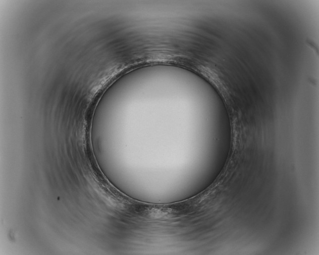 X0000103260346200809121928