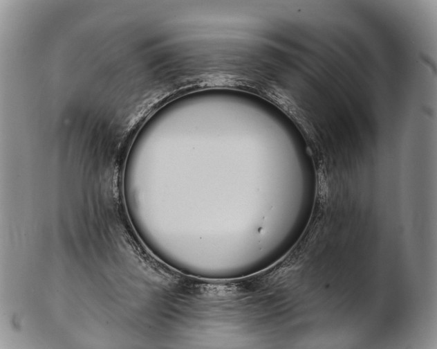 X0000103260347200809121928