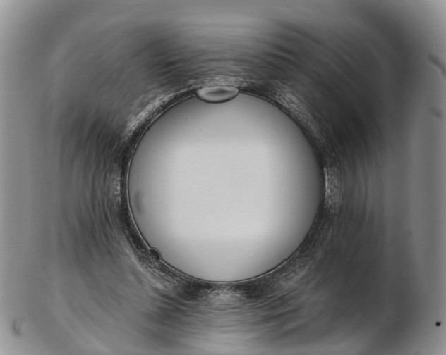 X0000103260348200809121928