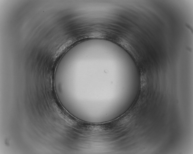 X0000103260349200809121928