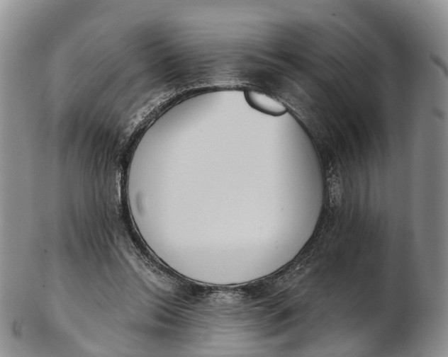 X0000103260350200809121928