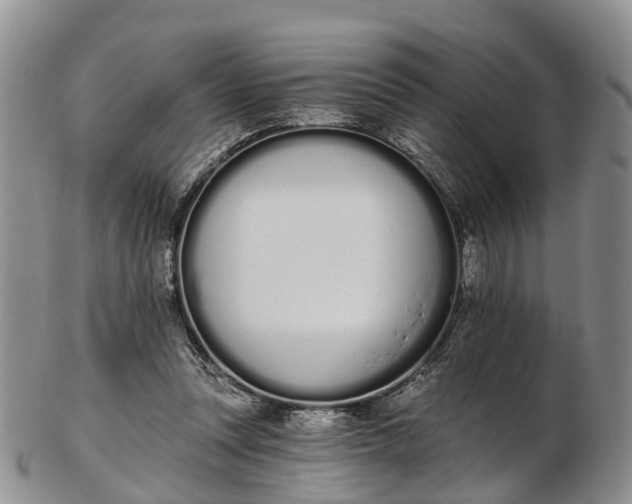 X0000103260351200809121928