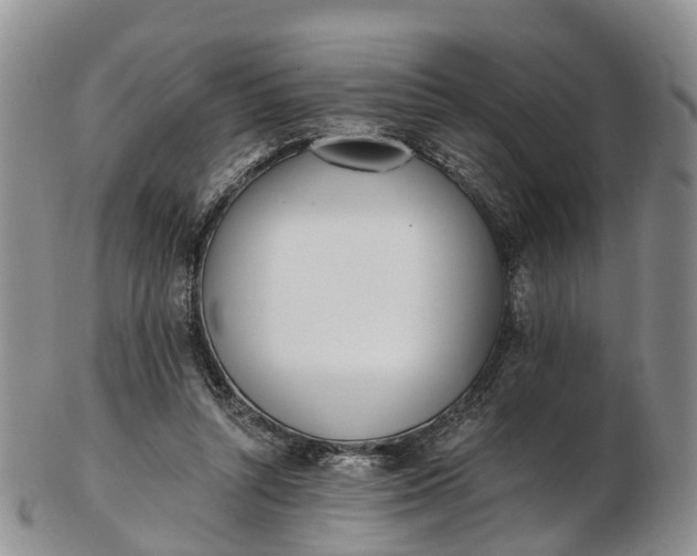 X0000103260352200809121928