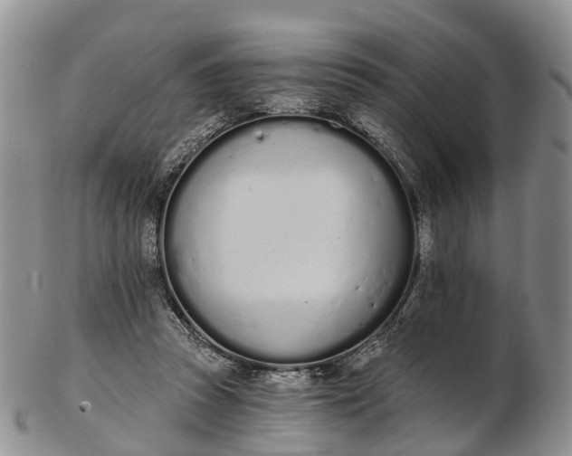 X0000103260353200809121928