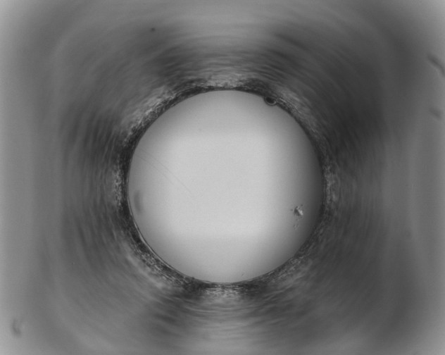 X0000103260354200809121928