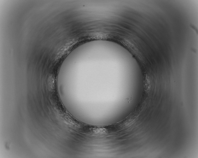 X0000103260355200809121928