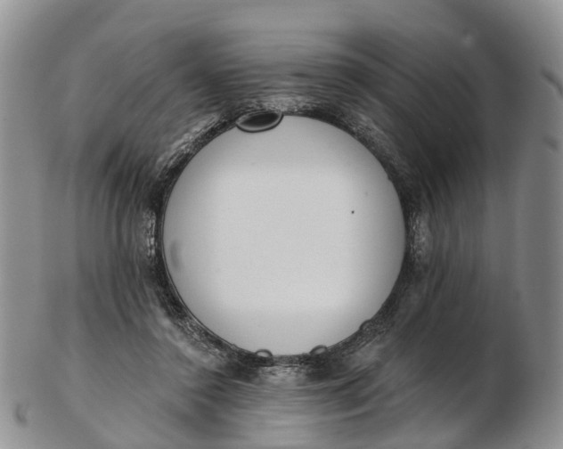 X0000103260356200809121928