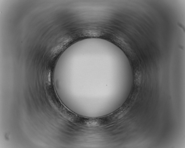 X0000103260358200809121928