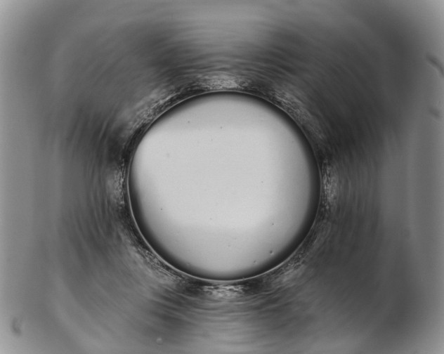 X0000103260359200809121928