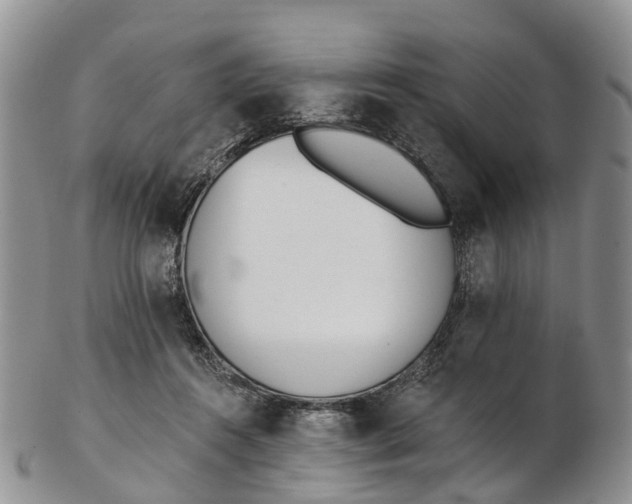 X0000103260360200809121928