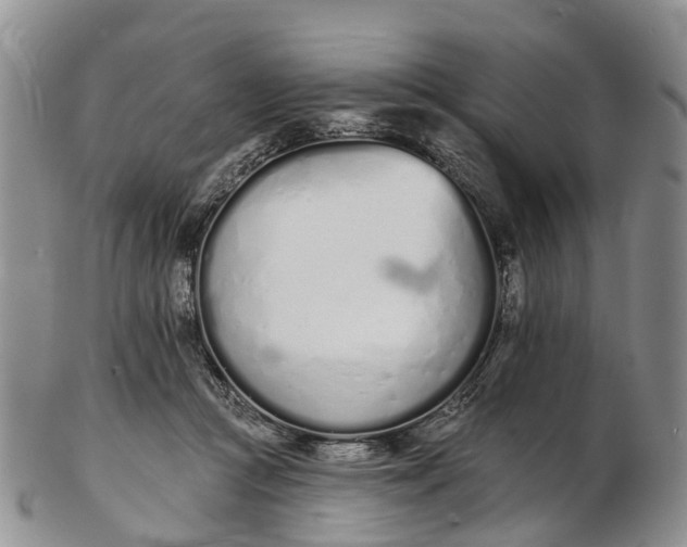 X0000103260361200809121928