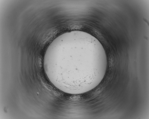 X0000103260362200809121928