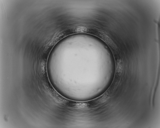 X0000103260363200809121928