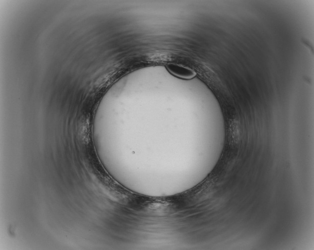 X0000103260364200809121928