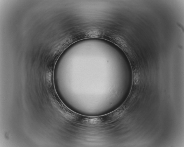 X0000103260365200809121928