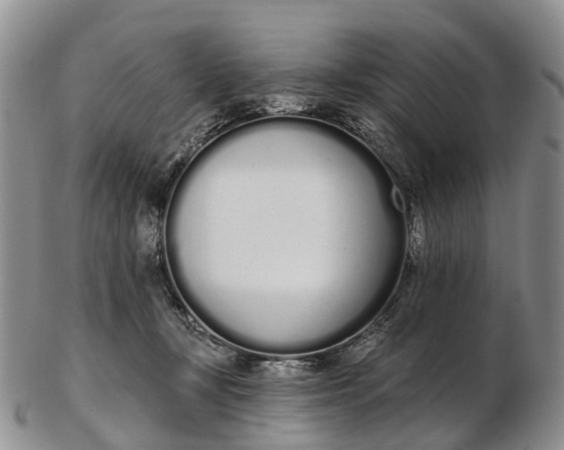 X0000103260367200809121928