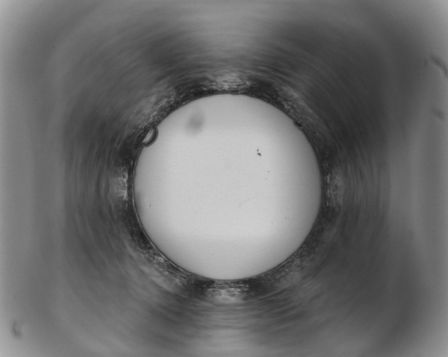 X0000103260368200809121928