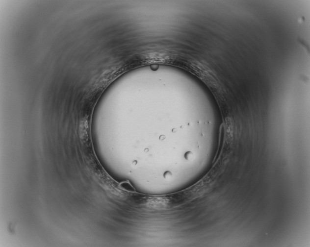 X0000103260369200809121928