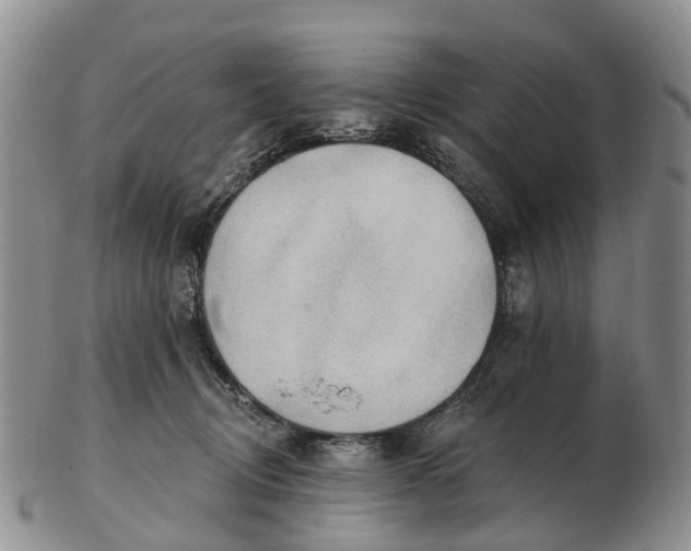 X0000103260370200809121928