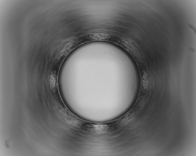 X0000103260371200809121928