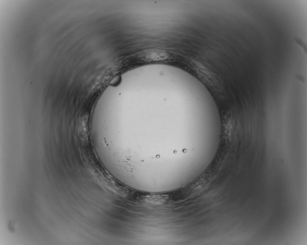 X0000103260373200809121928