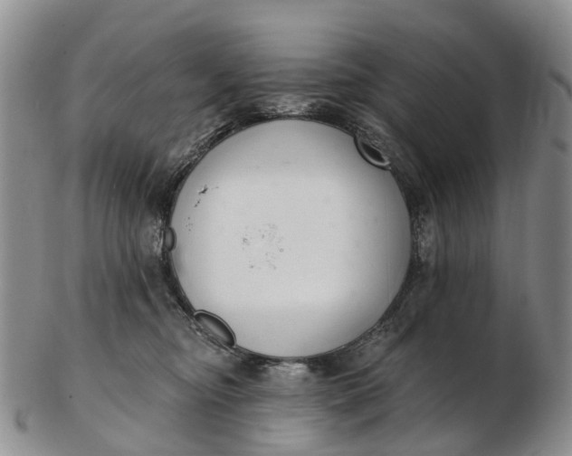 X0000103260374200809121928