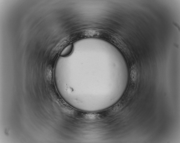 X0000103260375200809121928