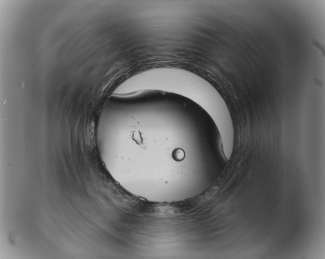 X0000103260376200809121928