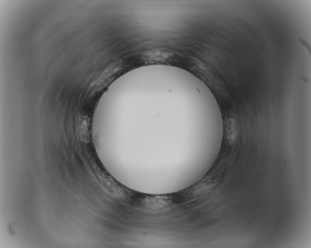 X0000103260378200809121928