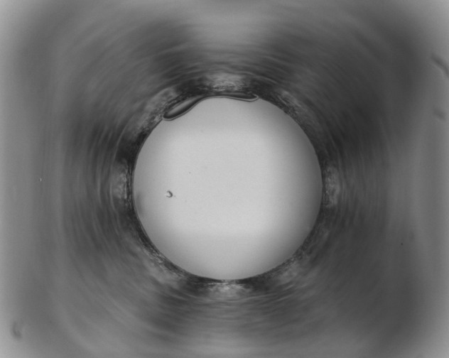 X0000103260379200809121928