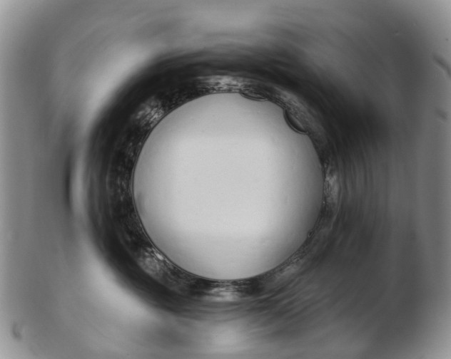 X0000103260381200809121928