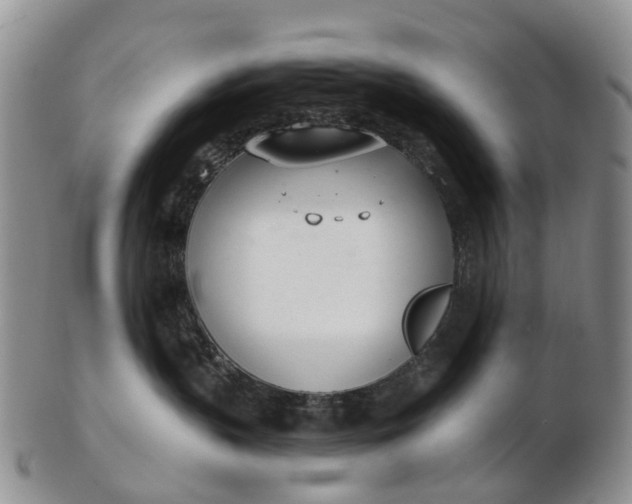 X0000103260383200809121928