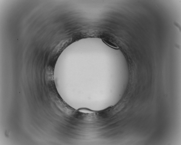 X0000103260384200809121928