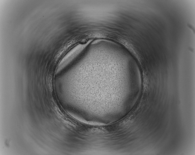 X0000103260386200809121928