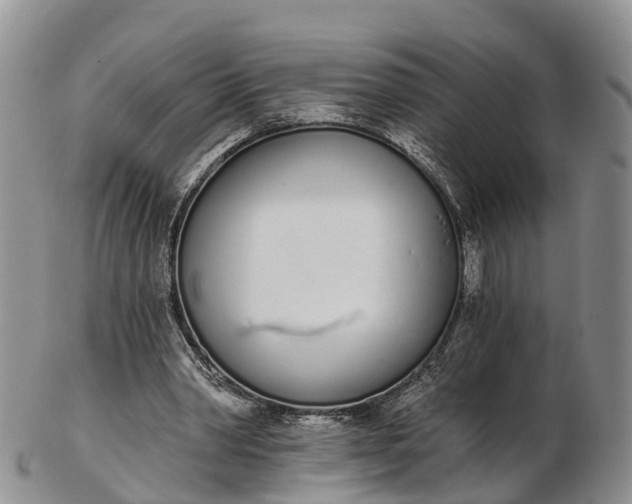 X0000103260390200809121928