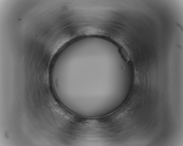 X0000103260391200809121928