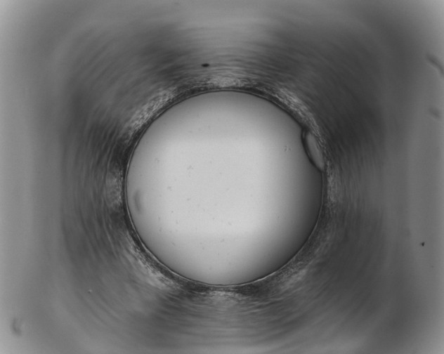 X0000103260393200809121928