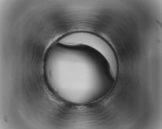 X0000103260395200809121928